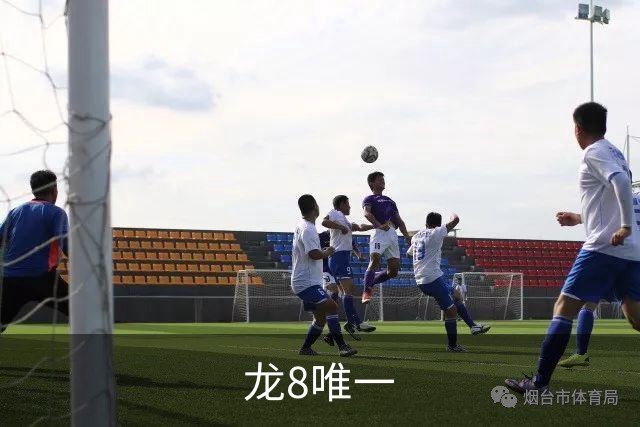 龙8唯一公司简介